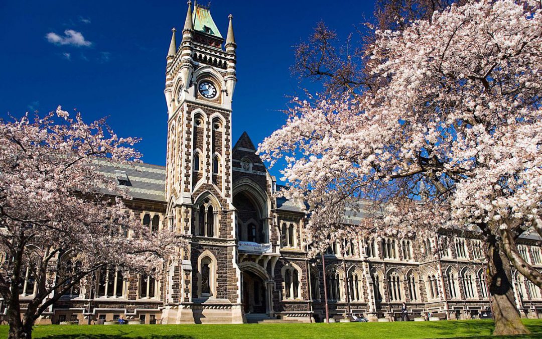 This Week – 8 May 2019